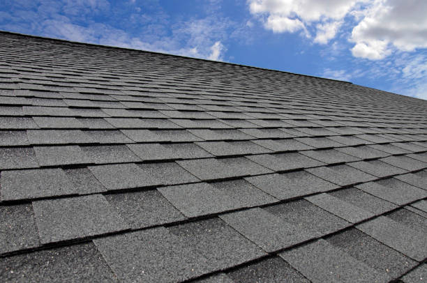 Best Metal Roofing Installation  in Shelburn, IN